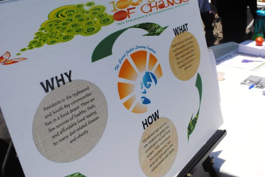 100 Seeds ERF - Any and Everywhere