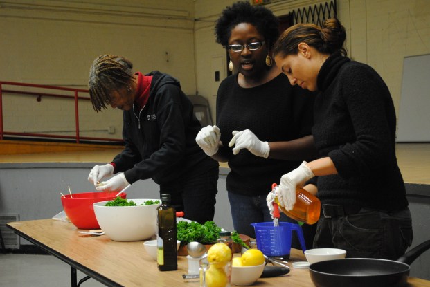 Farm2Plate Instruction SJLI - The Duo Dishes