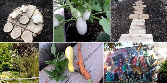 Bronzeville Community Garden in Southside, Chicago, IL