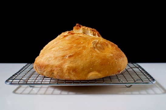 No Knead 1