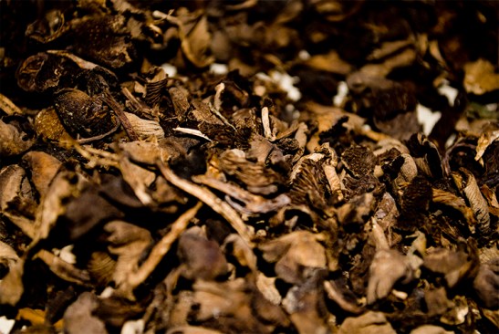 Djon Djon Haitian Mushrooms