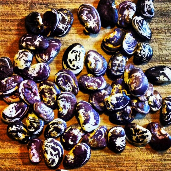 Heirloom beans by Shannon Mustipher