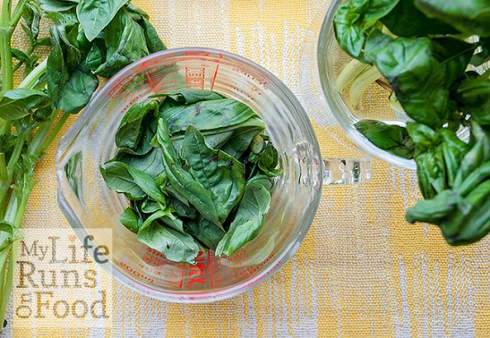 Basil leaves by Sanura Weathers of MyLifeRunsOnFood.com